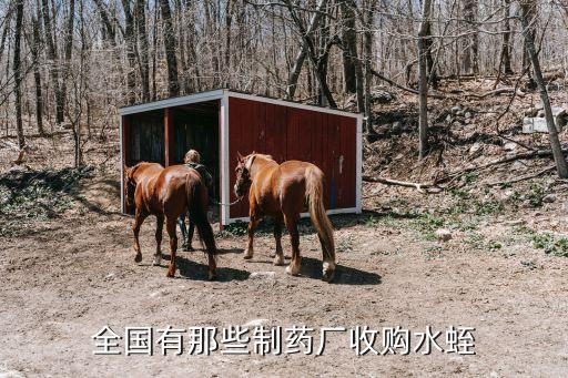 全國(guó)有那些制藥廠收購(gòu)水蛭