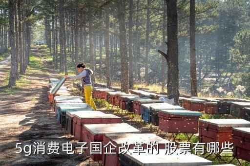 5g消費(fèi)電子國(guó)企改革的 股票有哪些