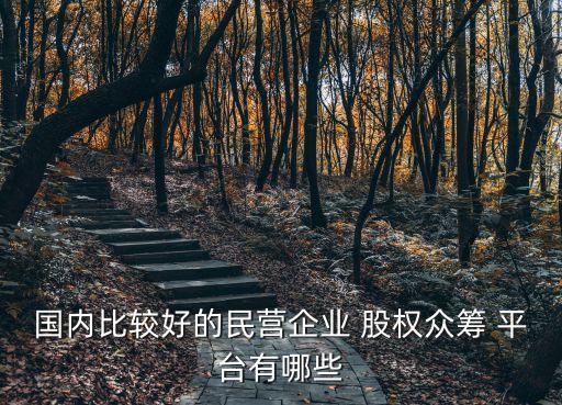 國(guó)內(nèi)比較好的民營(yíng)企業(yè) 股權(quán)眾籌 平臺(tái)有哪些