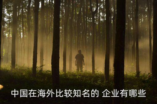 中國在海外比較知名的 企業(yè)有哪些