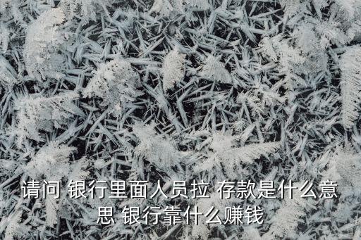 請(qǐng)問(wèn) 銀行里面人員拉 存款是什么意思 銀行靠什么賺錢