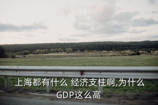  上海都有什么 經濟支柱啊,為什么GDP這么高