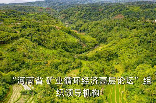 加納中國礦業(yè)協(xié)會(huì),中國礦業(yè)協(xié)會(huì)網(wǎng)站