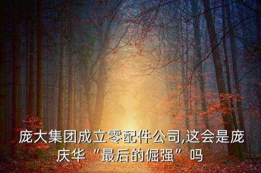  龐大集團(tuán)成立零配件公司,這會是龐慶華“最后的倔強”嗎
