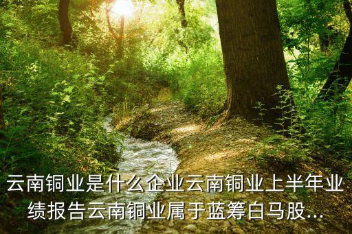 云南銅業(yè)是什么企業(yè)云南銅業(yè)上半年業(yè)績(jī)報(bào)告云南銅業(yè)屬于藍(lán)籌白馬股...
