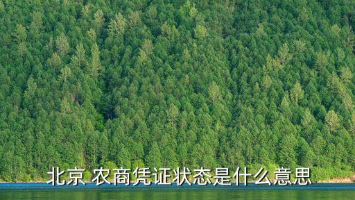 北京農(nóng)商銀行2012年報,成都農(nóng)商銀行2022年報