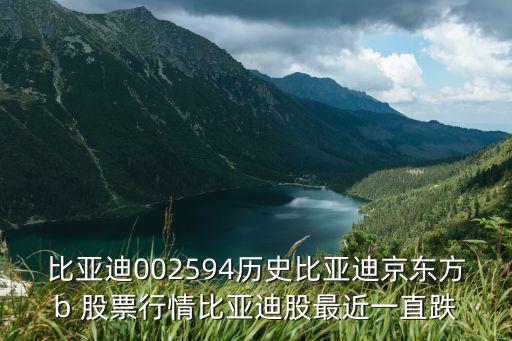 新能車b股票怎么樣,嘉澤新能股票怎么樣