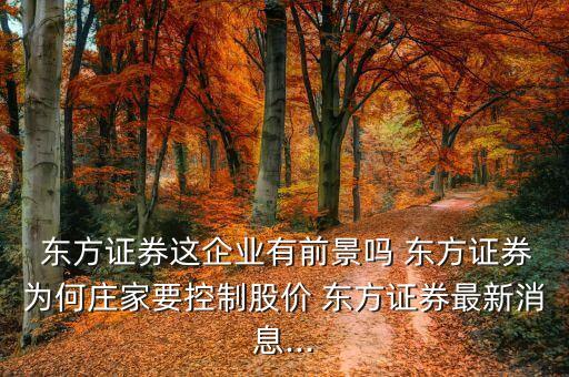 東方公司凈資產(chǎn)是佛