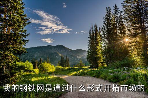 我的鋼鐵網(wǎng)是通過什么形式開拓市場的