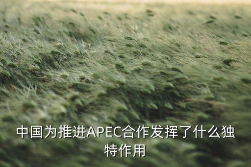中國為推進(jìn)APEC合作發(fā)揮了什么獨(dú)特作用