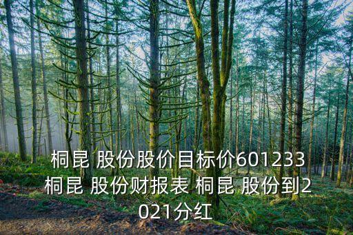  桐昆 股份股價目標(biāo)價601233 桐昆 股份財報表 桐昆 股份到2021分紅