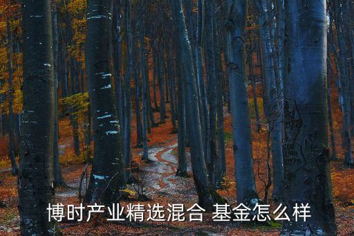  博時產(chǎn)業(yè)精選混合 基金怎么樣
