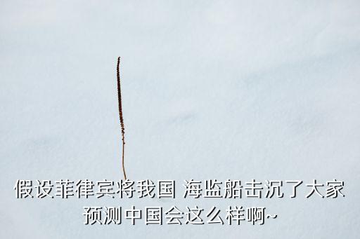 假設(shè)菲律賓將我國(guó) 海監(jiān)船擊沉了大家預(yù)測(cè)中國(guó)會(huì)這么樣啊~