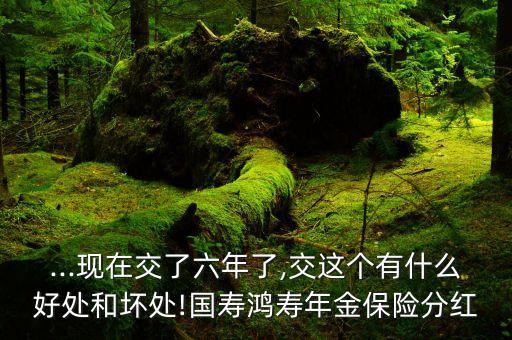 ...現(xiàn)在交了六年了,交這個(gè)有什么好處和壞處!國壽鴻壽年金保險(xiǎn)分紅