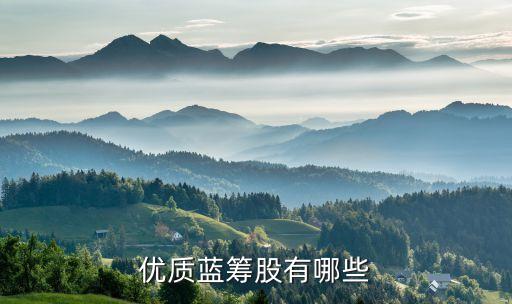 優(yōu)質(zhì)藍籌股有哪些