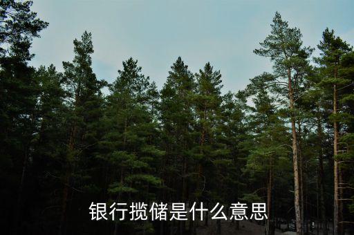  銀行攬儲是什么意思