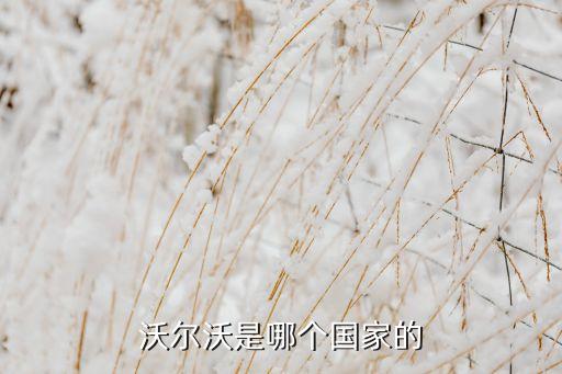 沃爾沃是哪個(gè)國(guó)家的