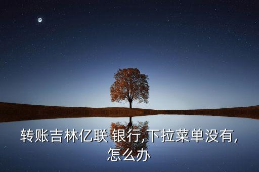 轉(zhuǎn)賬吉林億聯(lián) 銀行,下拉菜單沒有,怎么辦