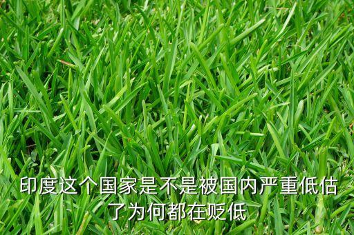  印度這個(gè)國家是不是被國內(nèi)嚴(yán)重低估了為何都在貶低