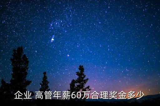 企業(yè) 高管年薪60萬合理獎金多少