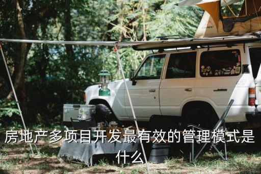房地產(chǎn)多項(xiàng)目開(kāi)發(fā)最有效的管理模式是什么