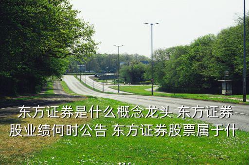  東方證券是什么概念龍頭 東方證券股業(yè)績何時公告 東方證券股票屬于什...