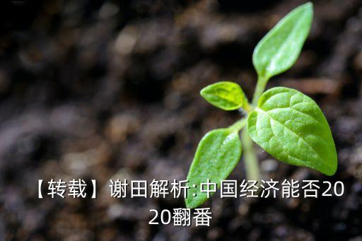 【轉(zhuǎn)載】謝田解析:中國(guó)經(jīng)濟(jì)能否2020翻番