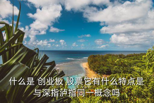 什么是 創(chuàng)業(yè)板 股票它有什么特點是與深指瀘指同一概念嗎