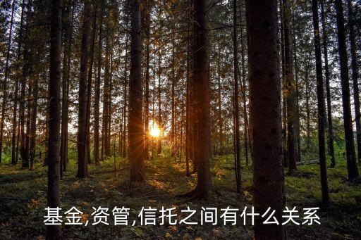  基金,資管,信托之間有什么關(guān)系