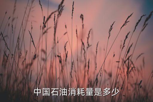 中國(guó)石油消耗量是多少