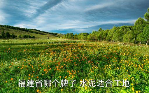 天瑞集團與山水水泥,中國天瑞集團水泥有限公司