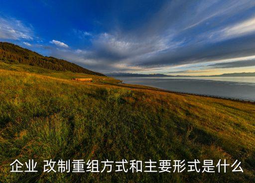 公司股權改制,上海申花股權改制