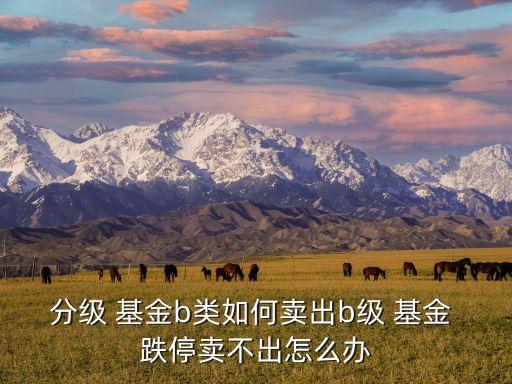 分級(jí) 基金b類如何賣出b級(jí) 基金 跌停賣不出怎么辦