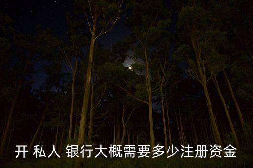 開(kāi) 私人 銀行大概需要多少注冊(cè)資金