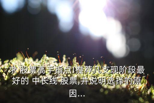 求 股票高手指點(diǎn)!推薦幾支現(xiàn)階段最好的 中長(zhǎng)線 股票,并說明選擇的原因...