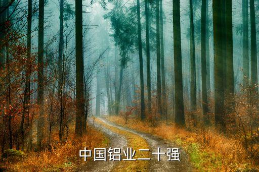 中國(guó)鋁業(yè)二十強(qiáng)