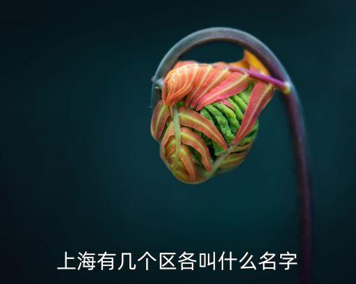上海有幾個區(qū)各叫什么名字