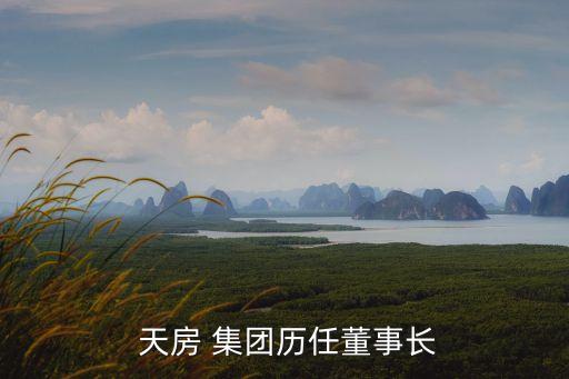  天房 集團歷任董事長