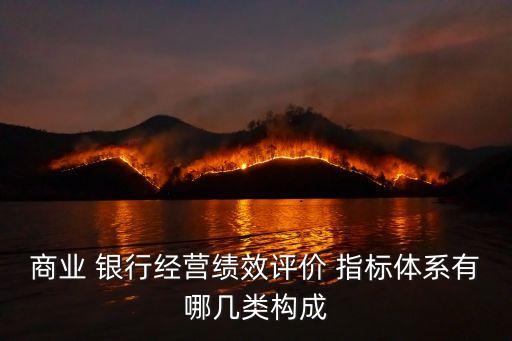 商業(yè) 銀行經(jīng)營(yíng)績(jī)效評(píng)價(jià) 指標(biāo)體系有哪幾類(lèi)構(gòu)成
