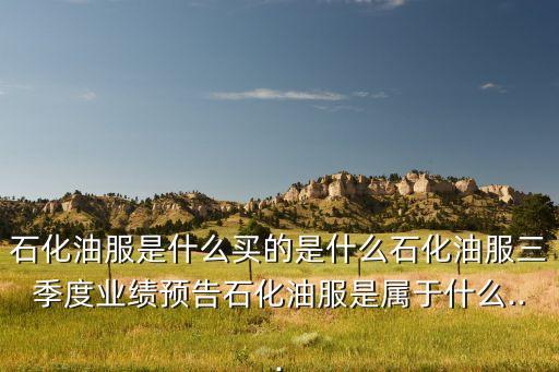 頁(yè)巖氣龍頭股票,重慶頁(yè)巖氣股票