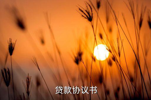  貸款協(xié)議書