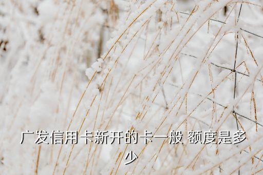廣發(fā)銀行春秋航空卡額度,民生銀行春秋航空卡額度