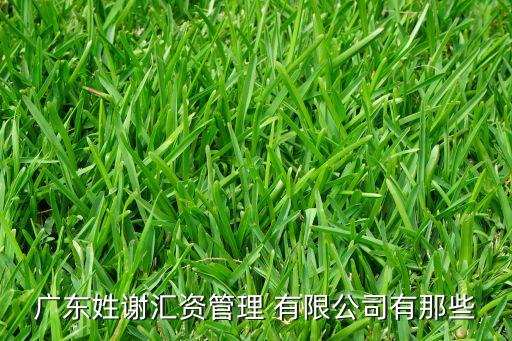 廣東姓謝匯資管理 有限公司有那些
