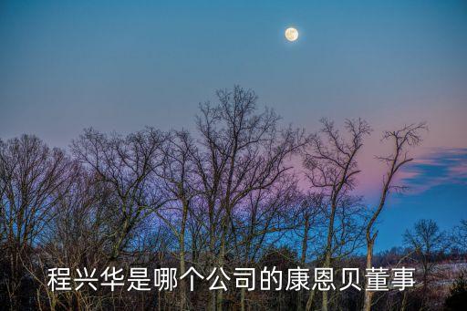 程興華是哪個(gè)公司的康恩貝董事