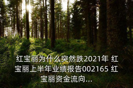 紅寶麗投資者互動