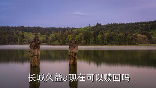  長城久益a現(xiàn)在可以贖回嗎