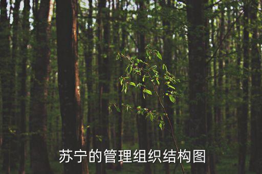  蘇寧的管理組織結(jié)構(gòu)圖