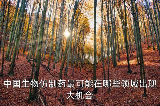 中國生物仿制藥最可能在哪些領(lǐng)域出現(xiàn)大機會