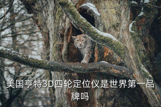 美國(guó)亨特3D四輪定位儀是世界第一品牌嗎