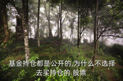 沒(méi)有基金持股的股票,基本養(yǎng)老保險(xiǎn)基金持股的股票怎么樣